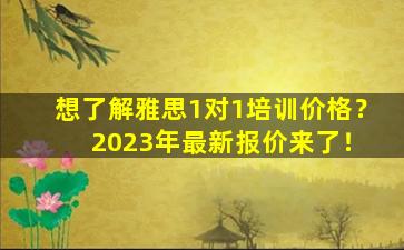 想了解雅思1对1培训价格？ 2023年最新报价来了！